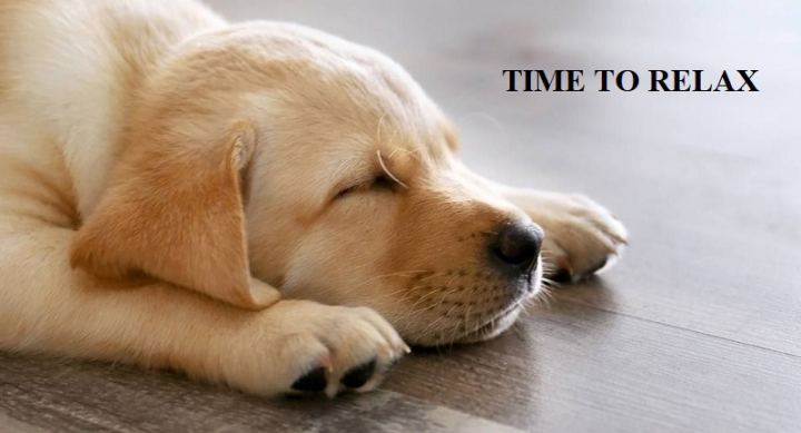 time to relax
