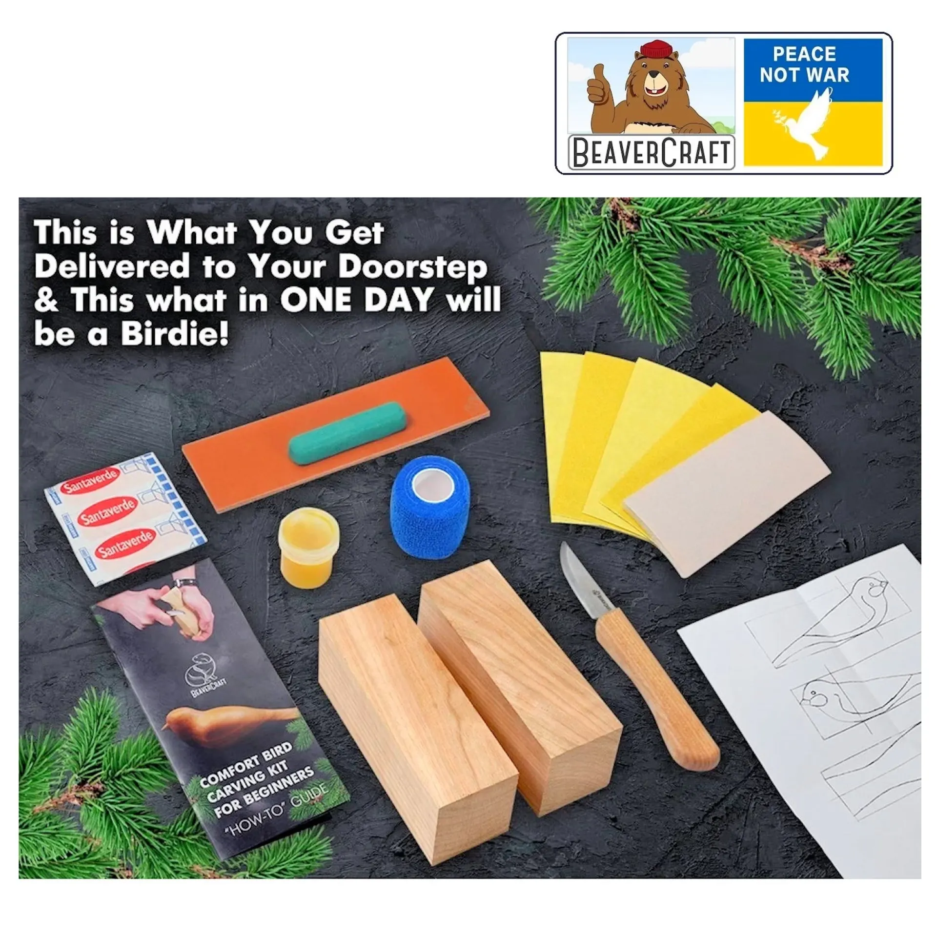 vogel houtsnijset DIY01 Beavercraft.