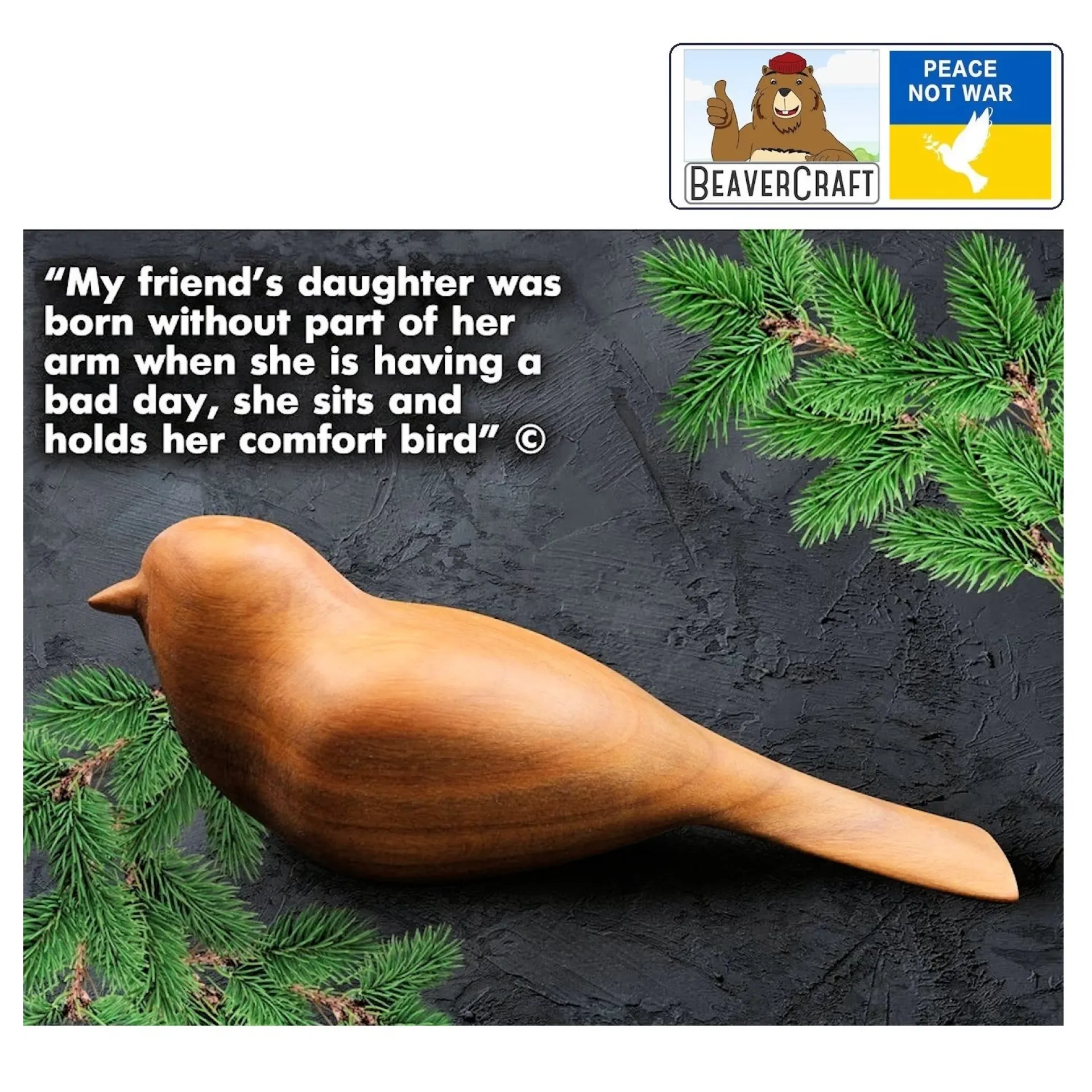 houtsnijset vogel Beavercraft DIY01.