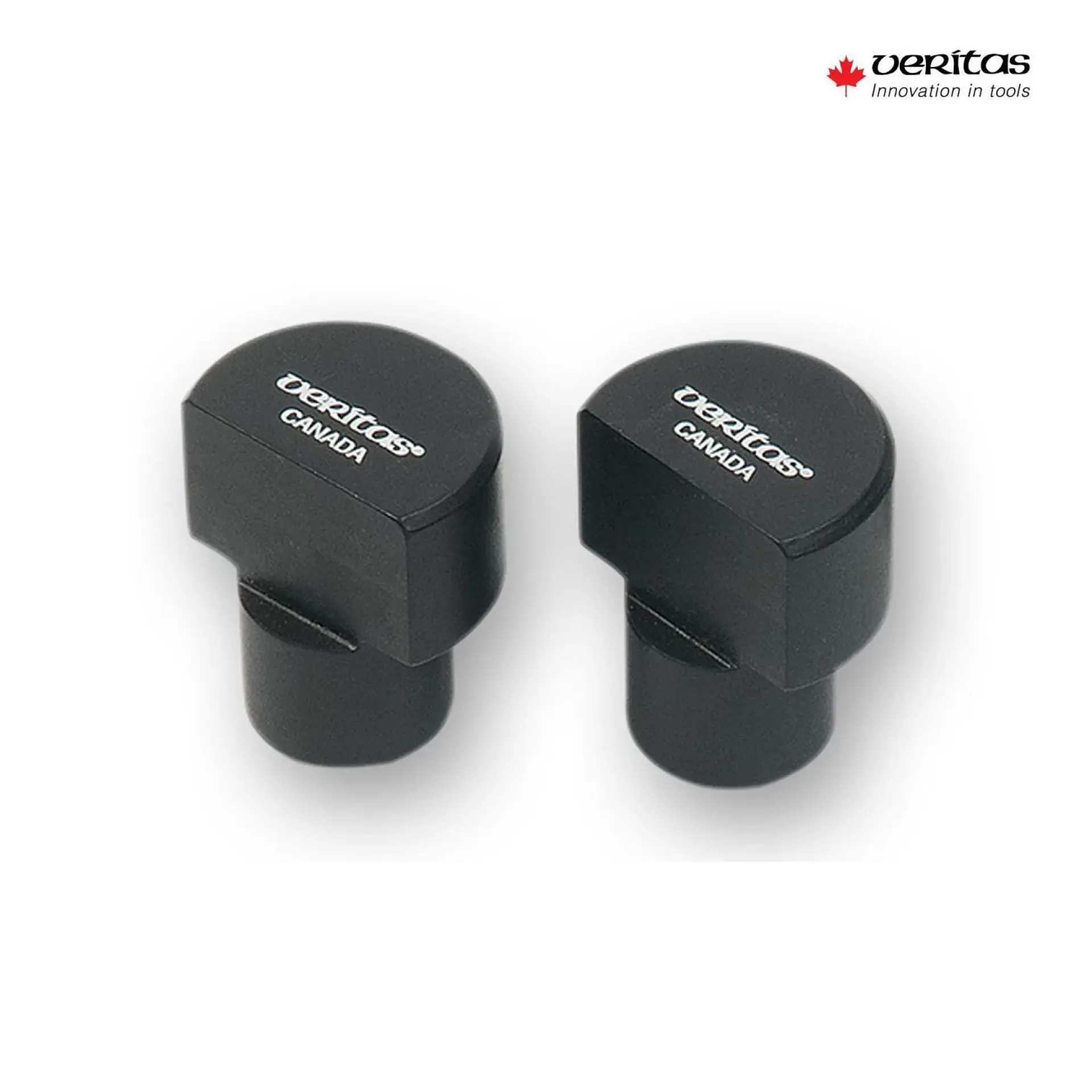 Veritas-surface-dogs-large-20-mm.